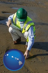hawaii an environmental engineer wearing a green safety helmet