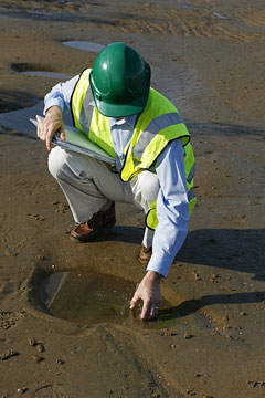 an environmental engineer wearing a green safety helmet